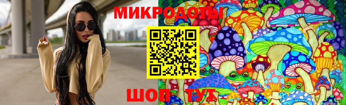 Псилоцибиновые грибы мухоморы Магадан