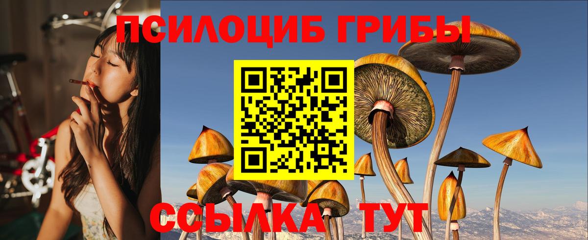 Галлюциногенные грибы прущие грибы  Вход с VPN  Магадан 