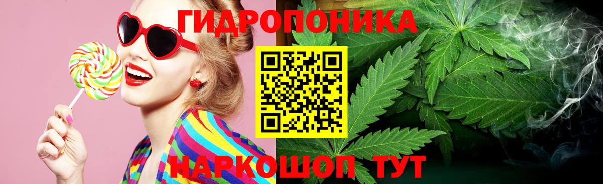 Каннабис конопля Магадан